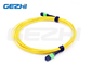 12F MPO (Nữ) - MPO (Nữ) 3.0mm LSZH Fiber Patch Cable / Trunk Cable
