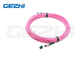 12F MPO (Nữ) - MPO (Nữ) 3.0mm LSZH Fiber Patch Cable / Trunk Cable