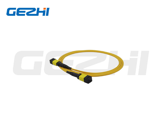 Mua MTP / MPO Trunk Cable 24 Core OS2 Optical Fiber Patch Cord online manufacture