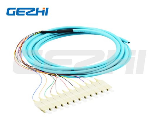 Mua 12 lõi Sợi quang Pigtail SC PC Multimode OM3 Phân phối Ống quang Pigtails 0.9mm để truyền dữ liệu online manufacture