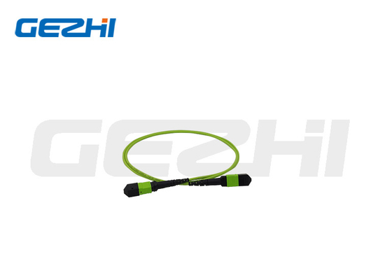 OM5 Mpo Patch Cable cho kết nối quang FTTX mật độ cao