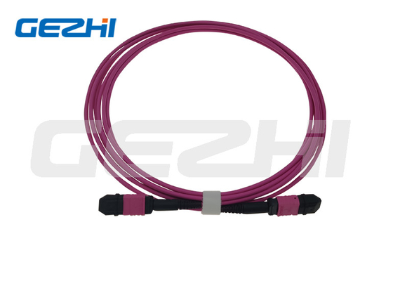 12 Sợi LC Duplex 1x6 đến MTP Cáp MPO MPO OM4 Patch Cord